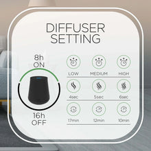 Air Wick Essential Mist Diffuser Air Freshener Refills, Fall Scent, Pumpkin Spice, 2 Count - Brands For Less USA