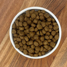 Muenster Ancient Grains With Ocean Fish Dog Food, All Life Stages, 4 lb Bag