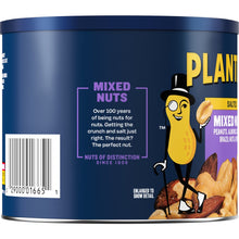 Salted Mixed Nuts, Party Snacks, Plant-Based Protein 10.3Oz (1 Canister) - Brands For Less USA