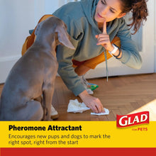 Glad Activated Charcoal Leak-Resistant Training Pads for Dogs, 23in x 23in, 100 Count