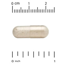 88_ee7ce327-5304-406a-90bb-2cf2d9489ead - Brands For Less USA