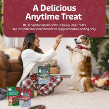 Blue Buffalo Santa Snacks Soft-Moist Dog Bits for Training, Chicken, 4.5-oz. Bag