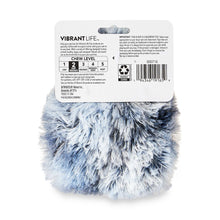 Vibrant Life Cozy Buddy Hedgehog Squeaky Dog Toy