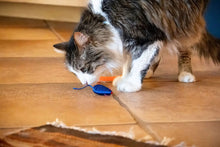 Vibrant Life 24 Piece Value Pack Cat Toys