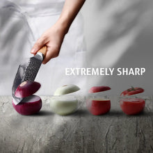 Hecef Japanese Chef Knife, Forged 67-Layer Damascus Steel Ultra Sharp Professional Hammered Carving Knife