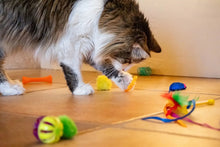 Vibrant Life 24 Piece Value Pack Cat Toys