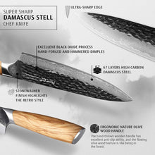Hecef Japanese Chef Knife, Forged 67-Layer Damascus Steel Ultra Sharp Professional Hammered Carving Knife