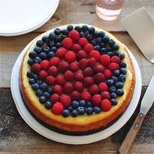 Chinet Classic White 10-3/8" Dinner Plates (165 Ct.) - Brands For Less USA