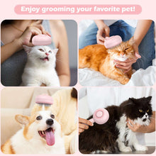 BEBANG Cat Steam Brush 3 in 1, One-Click Hair Removal Brush with Steam for Cats and Dogs