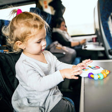 Baby Einstein Take Along Tunes Musical Infant Toy with Volume Control