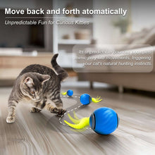 Risehigh Cat Toys for Indoor Cat Toy Smart Interactive Cat Toy Ball Rechargeable Two Speed Adjustment for Bored Indoor Adult Cats 2 Packs(Blue+Orange)