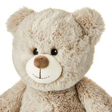 Spark Create Imagine Soft Bear Plush with Beans, 17 in, 0 Months+ - Brands For Less USA