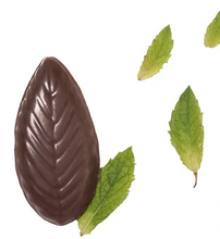 A'Cappella After Dinner Mints, 2-pack, 44 Total Mints, 10 oz. Total