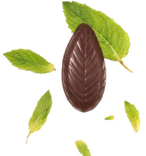A'Cappella After Dinner Mints, 2-pack, 44 Total Mints, 10 oz. Total