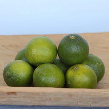 Alder_OakBearssLimeTree4 - Brands For Less USA