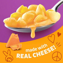 Annie's Shells and Real Aged Cheddar, Made with Organic Pasta and Real Cheese, 6 oz
