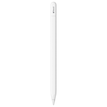 Apple Pencil (USB-C): Pixel-Perfect Precision, Tilt Sensitivity, and Industry-Leading Low Latency for Note-Taking, Drawing, and Signing Documents. Attaches Magnetically, Charges and Pairs with USB-C - Brands For Less USA