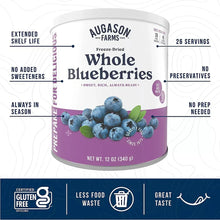 AugasonFarmsFreezeDriedWholeBlueberriesCan_12oz.4 - Brands For Less USA