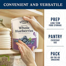 AugasonFarmsFreezeDriedWholeBlueberriesCan_12oz.6 - Brands For Less USA