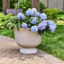 Better Homes & Gardens 20 inch Carmen Urn Planter, Gypsum with Modern Design for Indoor Outdoor Plant - Brands For Less USA