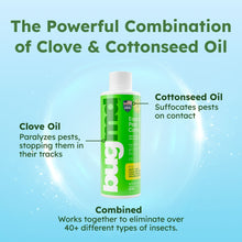 BUGMD-Pest-Control-Essential-Oil1 - Brands For Less USA