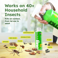 BUGMD-Pest-Control-Essential-Oil6 - Brands For Less USA