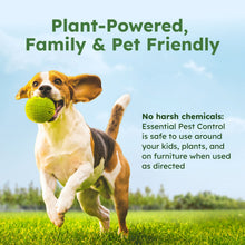 BUGMD-Pest-Control-Essential-OilBUGMD-BUGMD-Pest-Control-Essential-Oil2 - Brands For Less USA