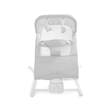 Baby Delight Alpine Wave Deluxe Newborn Baby Bouncer
