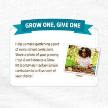 Back-to-the-Roots-4-25-x-3-35-Ci10 - Brands For Less USA