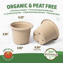 Back-to-the-Roots-4-25-x-3-35-Ci4 - Brands For Less USA