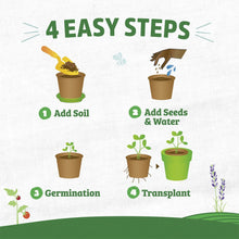 Back-to-the-Roots-4-25-x-3-35-Ci5 - Brands For Less USA