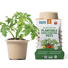 Back-to-the-Roots-4-25-x-3-35-Ci - Brands For Less USA