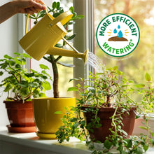 Back-to-the-Roots-Organic-Pottin5 - Brands For Less USA