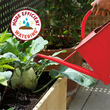 Back-to-the-Roots-Organic-Raised5 - Brands For Less USA