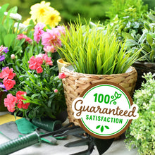 Back-to-the-Roots-Organic-Vermic3 - Brands For Less USA