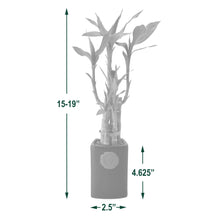 Bamboo Plant Collection