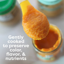 Beech-Nut Organics Stage 1 Organic Baby Food, Carrots, 4 oz Jar