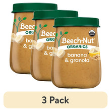 Beech-Nut Organics Stage 2 Berry Lovers Baby Food Variety Pack, 4 oz Jars, 8 Pack