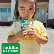 Beech-Nut Protein & Fiber Plus Stage 4 Toddler Food Variety Pack, 3.5 oz Pouch (9 Pack)