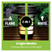 Bell_HowellSolarPathwayLightsPlastic_8pk.5 - Brands For Less USA