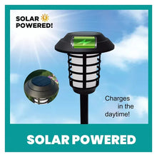Bell_HowellSolarPathwayLights_5 - Brands For Less USA