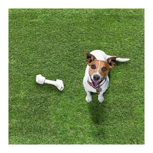 BerkleyJensenCharlestonArtificialGrass6 - Brands For Less USA