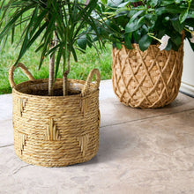 Better-Homes-Gardens-Athena-12-R1 - Brands For Less USA