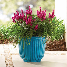 Better-Homes-Gardens-Kamala-Ligh1_9508c931-d93c-40f3-b1ec-c02dba3afa81 - Brands For Less USA