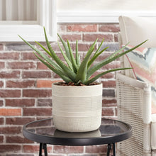 Better-Homes-Gardens-Pottery-8-T1 - Brands For Less USA