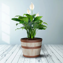 Better-Homes-Gardens-Whiskey-Bar4 - Brands For Less USA