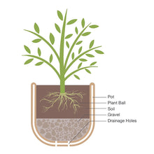 Better-Homes-Gardens-Whiskey-Bar6 - Brands For Less USA