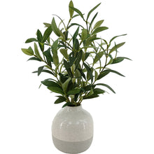 BetterHomes_Gardens14inchesIndoorArtificialOlivePlantinTwo-ToneCeramicVase - Brands For Less USA