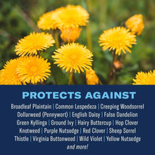 BioAdvanced-3-In-1-Weed-and-Feed2 - Brands For Less USA