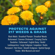 BioAdvanced-All-In-One-Lawn-Weed1-_2 - Brands For Less USA